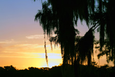 Florida sunrise