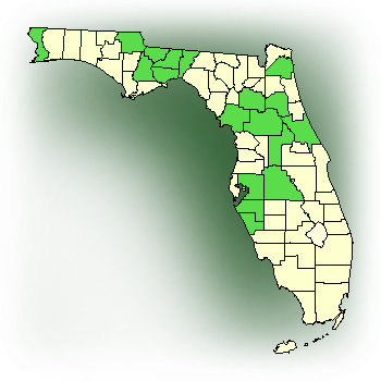 Distribution map for Southern Twayblade (Listera australis)