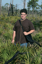 Giant Orchid (Pteroglossaspis ecristata) - Exeptionally tall plant.